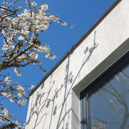 B&B Garden55 Mechelen Eksteriør billede