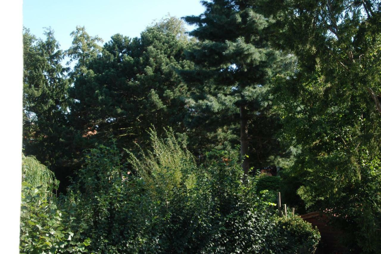 B&B Garden55 Mechelen Eksteriør billede